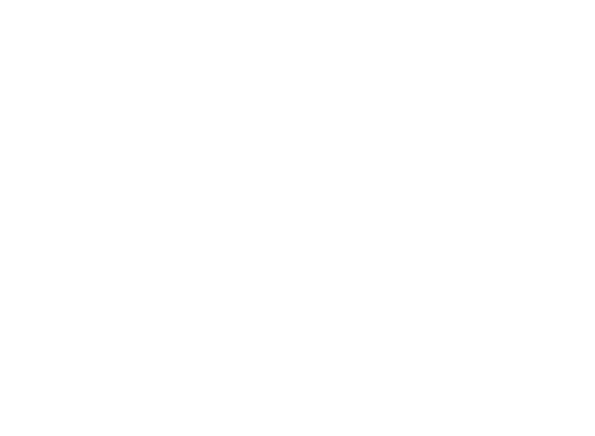 VIVA FILMS